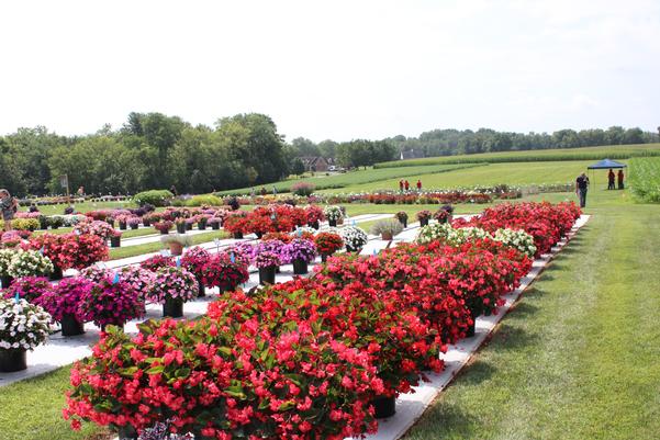 Visited the Penn State Flower Trials for Market Research
