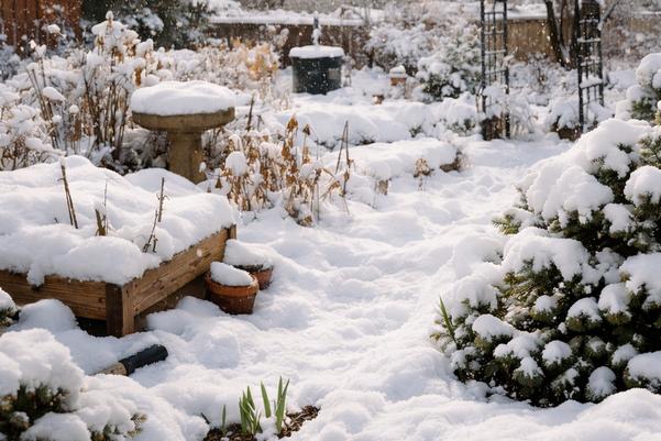 Snow Actually Good For Gardens?