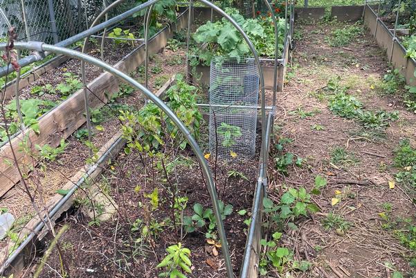 Don't Let The Garden Get You Down
